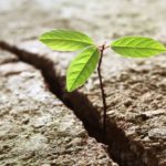 Adversity-breeds-Resilience