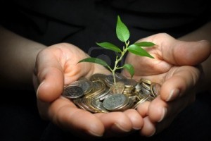 13711645-money-in-hands-investment-concept-1